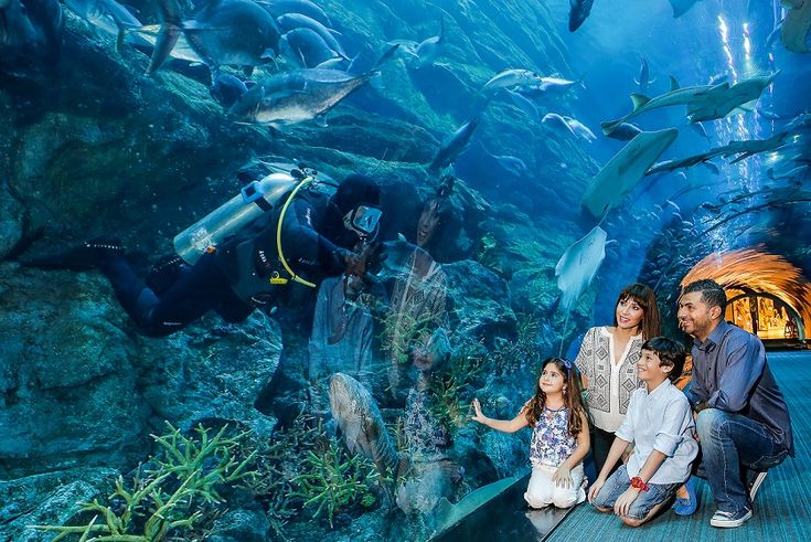 Underwater Zoo and Aquarium