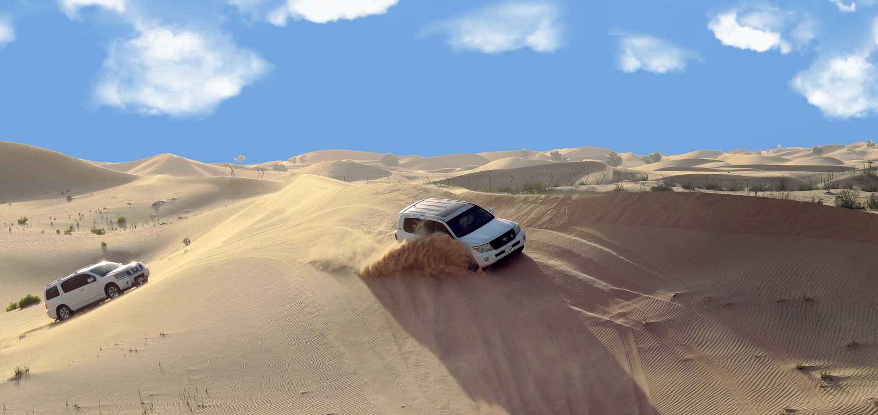 desert safari