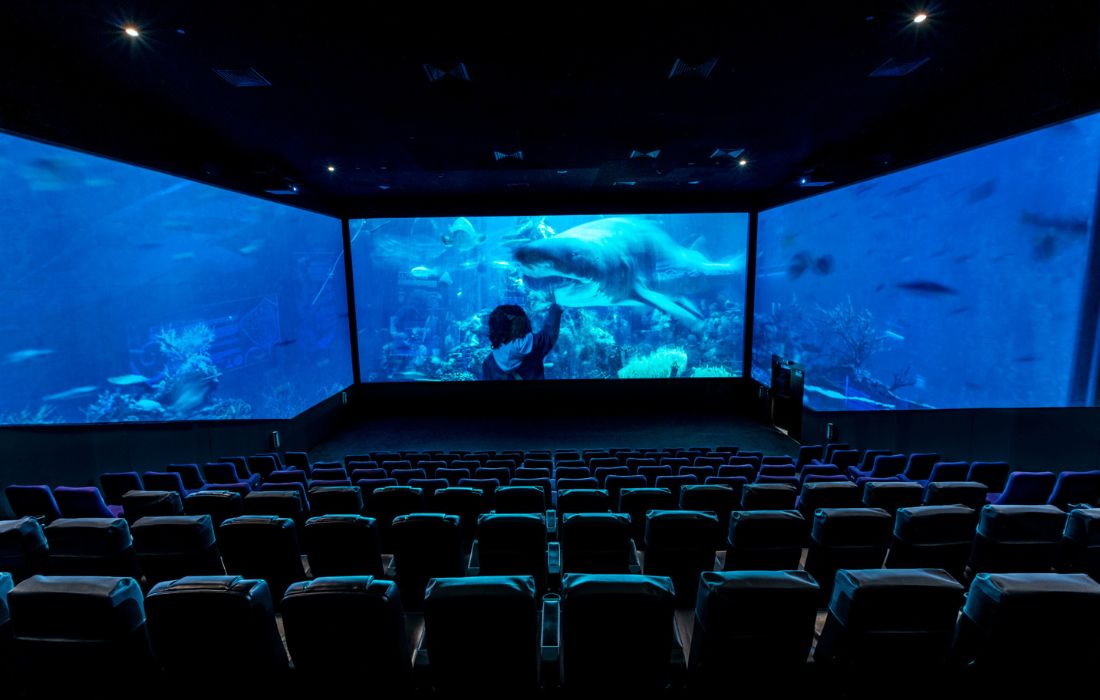 Do Best Cinema Experiences In Dubai